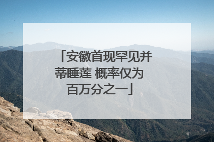 安徽首现罕见并蒂睡莲 概率仅为百万分之一