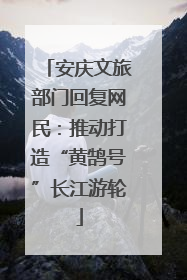 安庆文旅部门回复网民：推动打造“黄鹄号”长江游轮