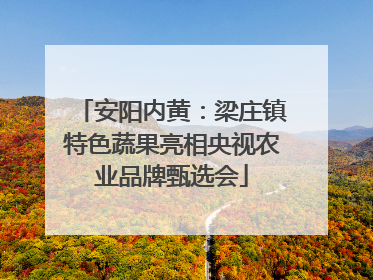 安阳内黄:梁庄镇特色蔬果亮相央视农业品牌甄选会