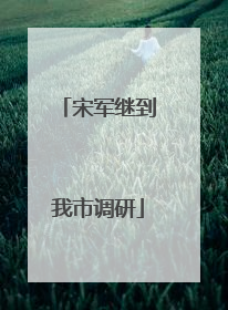 宋军继到我市调研