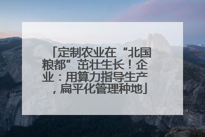 定制农业在“北国粮都”茁壮生长！企业：用算力指导生产，扁平化管理种地