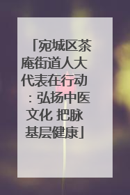 宛城区茶庵街道人大代表在行动：弘扬中医文化 把脉基层健康