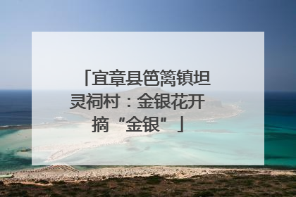 宜章县笆篱镇坦灵祠村：金银花开摘“金银”