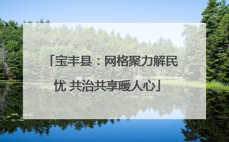 宝丰县：网格聚力解民忧 共治共享暖人心