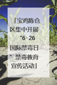 宝鸡陈仓区集中开展“6･26国际禁毒日”禁毒教育宣传活动