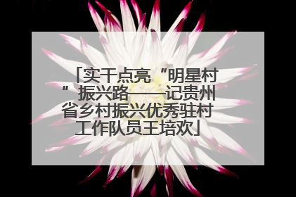 实干点亮“明星村”振兴路——记贵州省乡村振兴优秀驻村工作队员王培欢