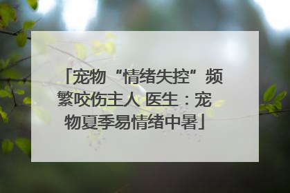 宠物“情绪失控”频繁咬伤主人 医生：宠物夏季易情绪中暑