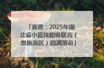 宣恩：2025年湖北省小篮球超级联赛（恩施赛区）圆满落幕