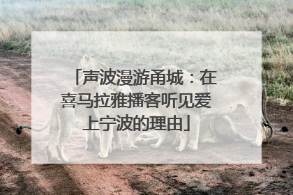 声波漫游甬城：在喜马拉雅播客听见爱上宁波的理由
