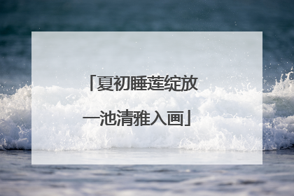 夏初睡莲绽放 一池清雅入画