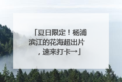 夏日限定！杨浦滨江的花海超出片，速来打卡→