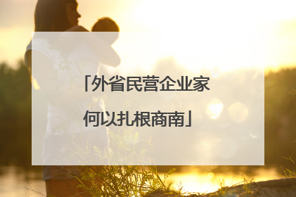 外省民营企业家何以扎根商南