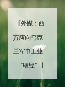 外媒：西方应向乌克兰军事工业“取经”