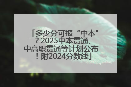 多少分可报“中本”？2025中本贯通、中高职贯通等计划公布！附2024分数线