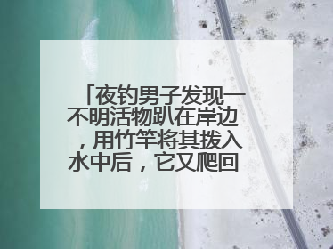 夜钓男子发现一不明活物趴在岸边，用竹竿将其拨入水中后，它又爬回岸边……