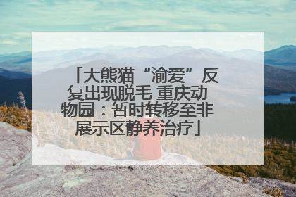 大熊猫“渝爱”反复出现脱毛 重庆动物园：暂时转移至非展示区静养治疗