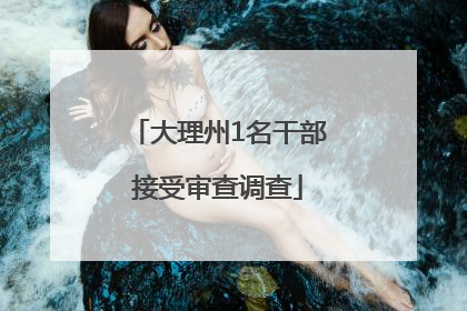 大理州1名干部接受审查调查