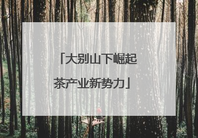 大别山下崛起茶产业新势力