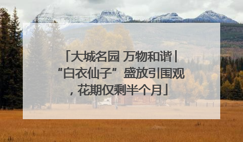 大城名园 万物和谐│“白衣仙子”盛放引围观，花期仅剩半个月