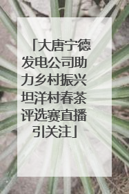 大唐宁德发电公司助力乡村振兴坦洋村春茶评选赛直播引关注