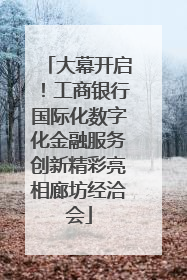 大幕开启！工商银行国际化数字化金融服务创新精彩亮相廊坊经洽会