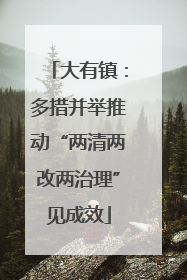 大有镇：多措并举推动“两清两改两治理”见成效