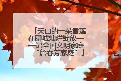 天山的一朵雪莲在聊城灿烂绽放——记全国文明家庭“詹春芳家庭”
