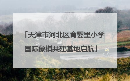 天津市河北区育婴里小学国际象棋共建基地启航