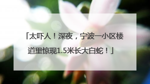 太吓人！深夜，宁波一小区楼道里惊现1.5米长大白蛇！