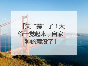 失“蒜”了！大爷一觉起来，自家种的蒜没了