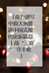 奋力谱写中原大地推进中国式现代化新篇章丨战“三夏” 夺丰收