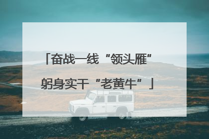 奋战一线“领头雁” 躬身实干“老黄牛”