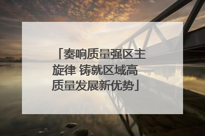 奏响质量强区主旋律 铸就区域高质量发展新优势