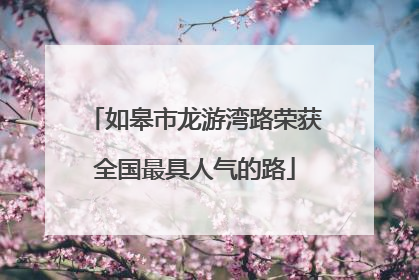 如皋市龙游湾路荣获全国最具人气的路