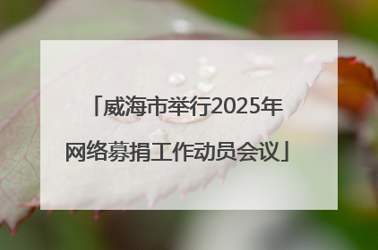 威海市举行2025年网络募捐工作动员会议