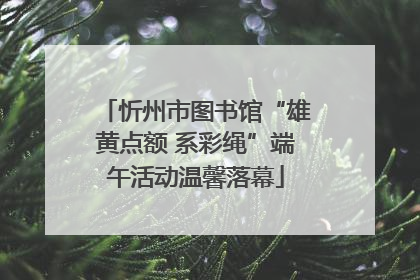 忻州市图书馆“雄黄点额 系彩绳”端午活动温馨落幕