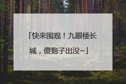 快来围观！九眼楼长城，傻狍子出没~