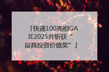 快递100亮相GAIE2025并斩获“最具投资价值奖”