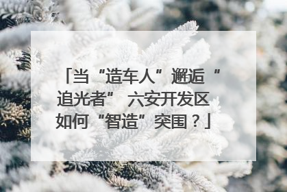 当“造车人”邂逅“追光者” 六安开发区如何“智造”突围？