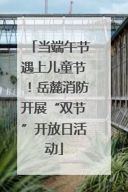 当端午节遇上儿童节！岳麓消防开展“双节”开放日活动