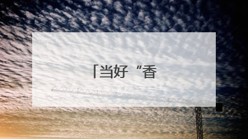 当好“香江卫士”