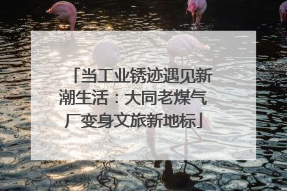 当工业锈迹遇见新潮生活：大同老煤气厂变身文旅新地标