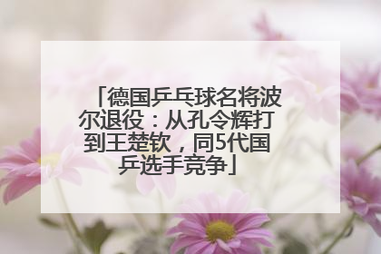 德国乒乓球名将波尔退役：从孔令辉打到王楚钦，同5代国乒选手竞争