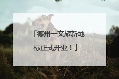 德州一文旅新地标正式开业！