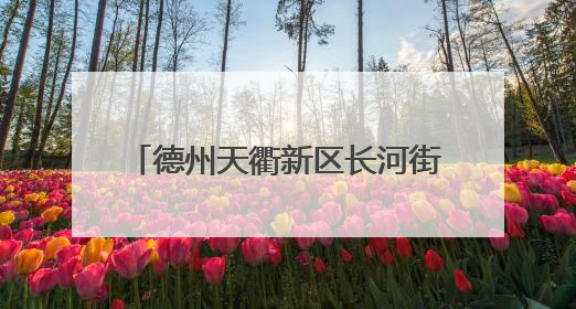 德州天衢新区长河街道：文化雨露浸家园 共筑和谐新图景