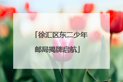 徐汇区东二少年邮局揭牌启航