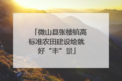 微山县张楼镇高标准农田建设绘就好“丰”景