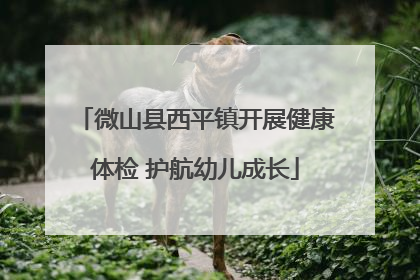 微山县西平镇开展健康体检 护航幼儿成长