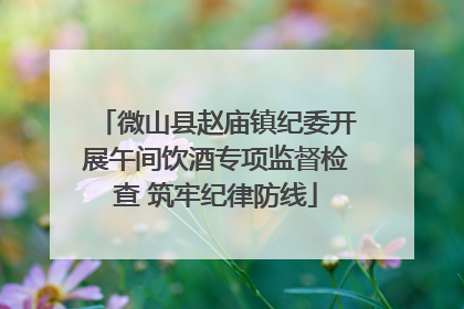 微山县赵庙镇纪委开展午间饮酒专项监督检查 筑牢纪律防线