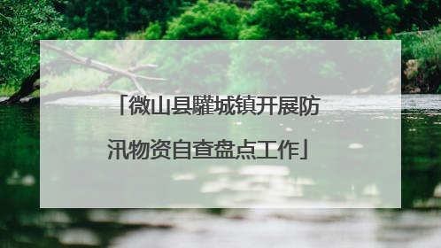 微山县驩城镇开展防汛物资自查盘点工作